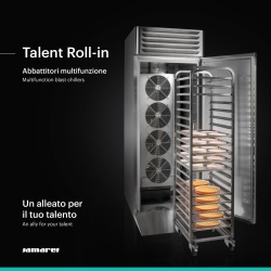 Abatitor / dospitor multifuncțional Talent Roll-in, Samaref - Img 5