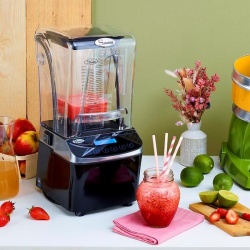Blender profesional bar, 2.4 Litri SANTOS - Img 12
