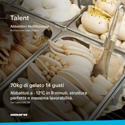 Abatitor / dospitor multifuncțional / Gătire slow cook 12 tăvi, Talent, Samaref Italia - Img 5