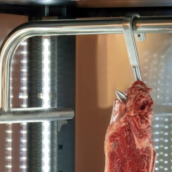 Vitrină de maturat carne MV 804B, 970 litri, CoolHead Italia - Img 6