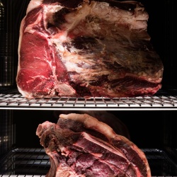 Dulap frigorific cu 2 uși din sticlă pentru maturare carne, 300 kg, BLACK PANORAMA - Img 5