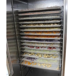 Uscător deshidrator fructe, Frutty Mod. 25 Inderst - Img 2