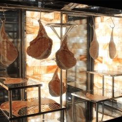 Dulap de maturare carne cu ușă de sticlă - Img 11