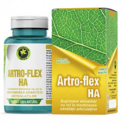 Capsule Artro-Flex HA 60cps