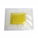 Plasturi detoxifianti pentru talpi - Ghimbir 10 buc
