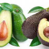 AVOCADO (altoit, pe rod)