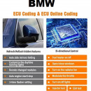 PROMOTIE Tester auto profesional gama bavareza, Aparat Original Launch X431 Creader Elite pentru gama BMW