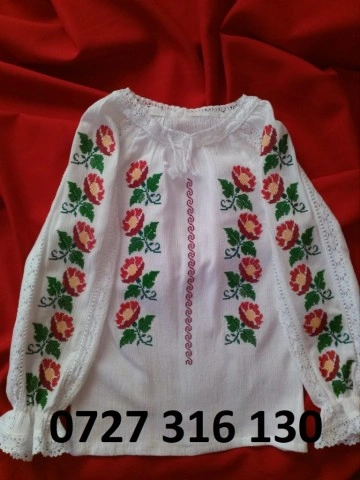 FL100 - Img 3