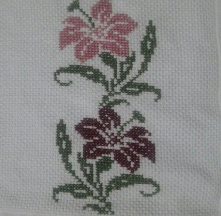 FL114 - Img 3