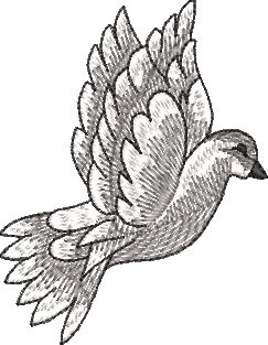 RL103 - Img 3