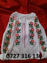 FL100 - Img 3