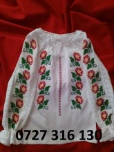 FL100 - Img 3