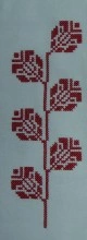 MP528 - Img 2