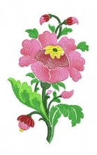 SAT032