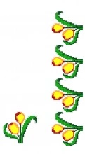 FL146