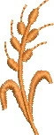 RL081