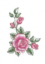 SAT014