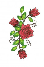 SAT004