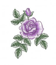 SAT015