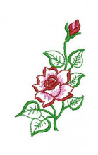 SAT005