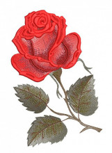SAT006