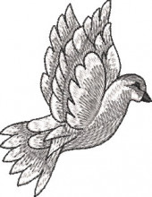 RL103 - Img 3