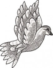 RL103 - Img 3