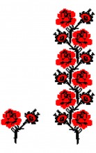 FL123