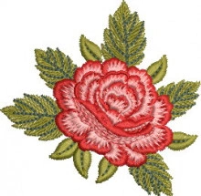 SAT156