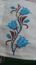 FL176 - Img 2