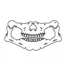 MASK016