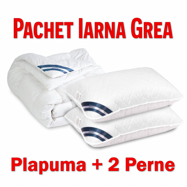 Pachet IARNA GREA Pilota SUPER GROASA 150x200 -400g/mp + 1 Perne 50x70cm