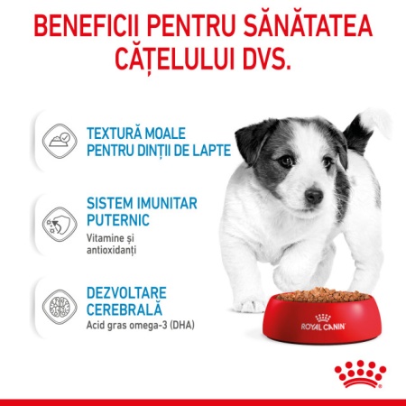 Hrana umeda pentru caini, Royal Canin, Mini Puppy, 85G - Img 5