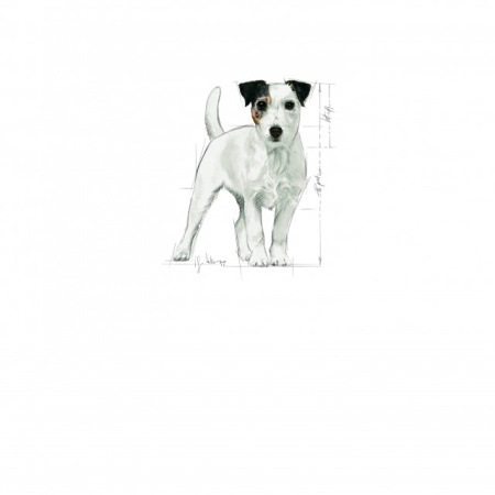 Hrana uscata pentru caini, Royal Canin, Mini Ageing+12, 1.5 Kg - Img 3