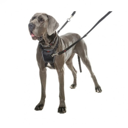 Ham pentru caini, The Company Of Animals, Harness, Medium - Img 3