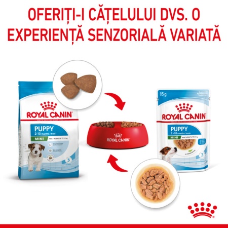 Hrana umeda pentru caini, Royal Canin, Mini Puppy, 85G - Img 6