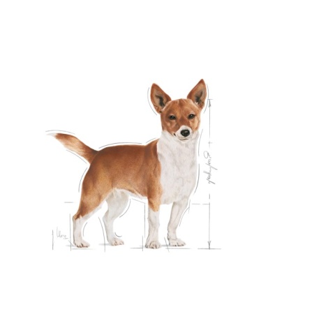 Hrana umeda pentru caini, Royal Canin, Mini Urinary Care, 12 x 85g - Img 5