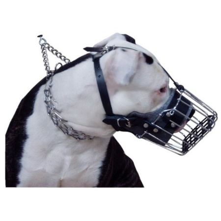 Botnita metal pentru caini, Dingo 4158, Pitbull - Img 3