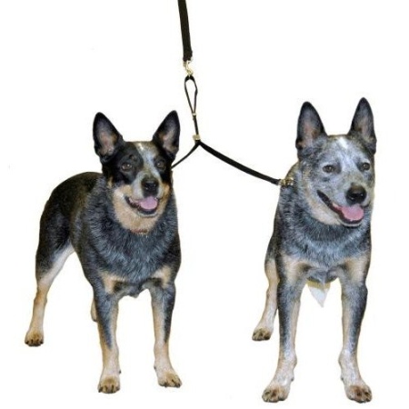Lesa dubla caini, The Company of Animals, Double Dog, Small - Img 2