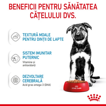 Hrana umeda pentru caini, Royal Canin Maxi Puppy, Box 10 x 140 G - Img 5