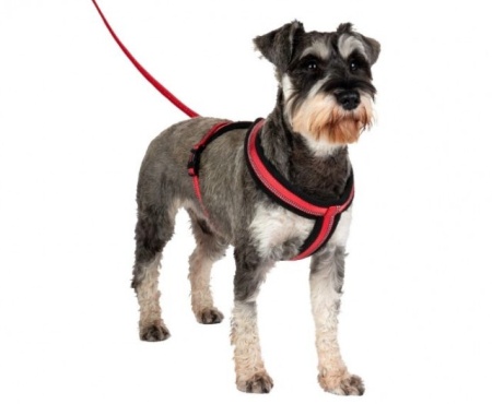Ham pentru caini, The Company of Animals Halti Comfy Harness M - Img 2