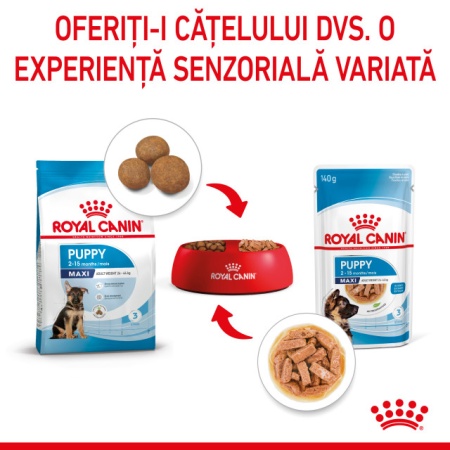 Hrana umeda pentru caini, Royal Canin Maxi Puppy, Box 10 x 140 G - Img 6