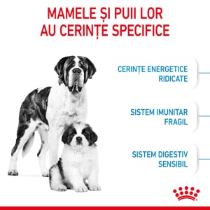 Hrana uscata pentru caini, Royal Canin Giant Starter, 15 Kg - Img 3