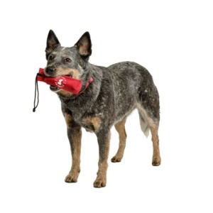 Saculet antrenament, The Company Of Animals Canvas Training Dummy L - Img 3