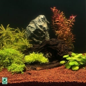 Substrat pentru acvariu, JBL, Manado 10l - Img 2
