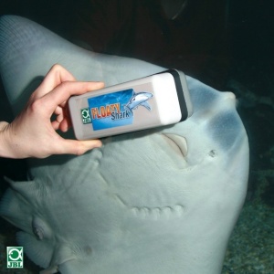 Curatator magnetic sticla cvariu, JBL, Floaty Shark - Img 2