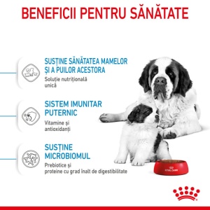 Hrana uscata pentru caini, Royal Canin Giant Starter, 15 Kg - Img 4