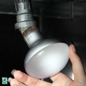 Bec pentru terariu, JBL, ReptilSpot Halodym, 42 W - Img 2