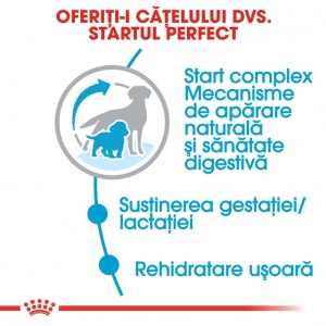 Hrana uscata pentru caini, Royal Canin, Medium Starter MB, 4 Kg - Img 5