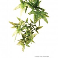 Plante terariu, Exo Terra, Croton Large 70CM, PT3020